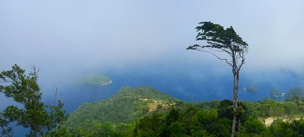 La Vigie Paramin home of the Trinidad Carnival Blue Devils