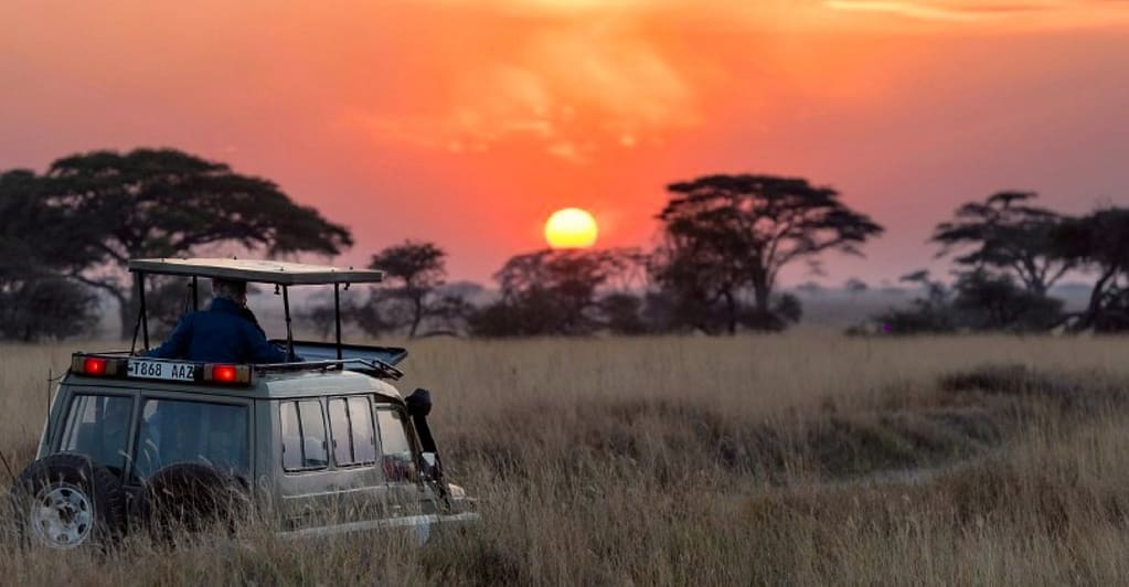 14 Day Luxury Safari - Game Drive Sunset