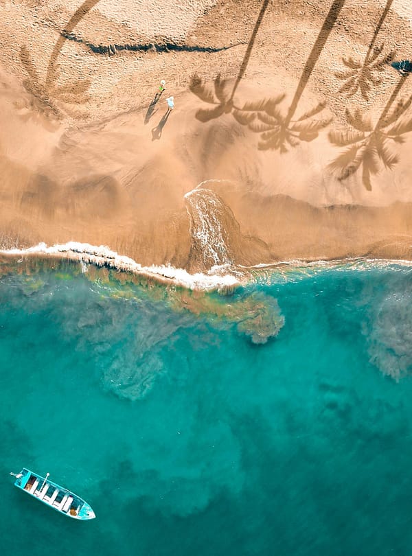 ABOUT US Purple Star Travel pexels-diegonzalez-13359783