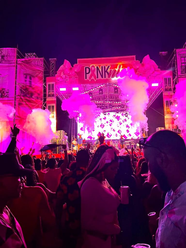 PinkNicTT stage Trinidad Carnival 2027