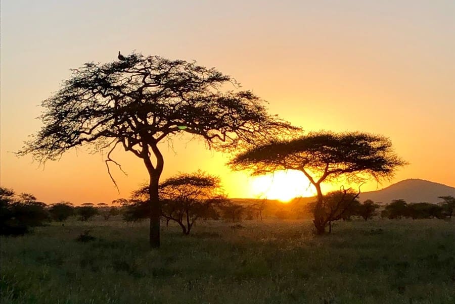 14 Day Luxury Safari Sunset